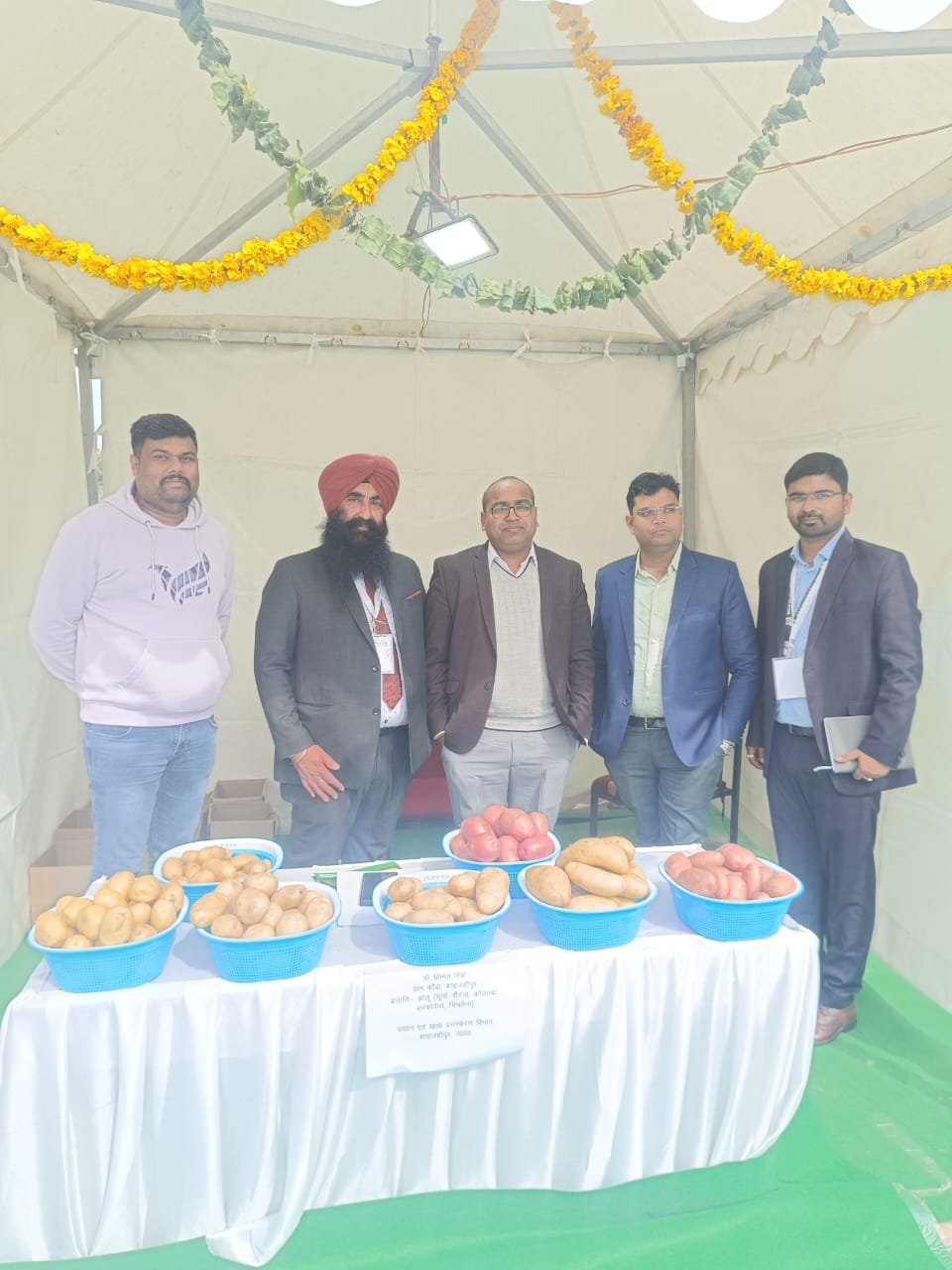 Crores of Banda's potatoes will be sold in the international market
