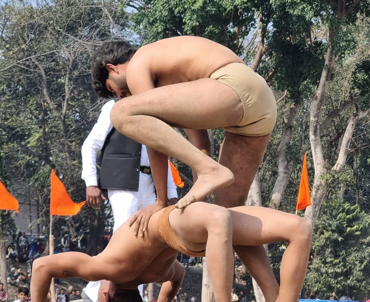 Every trick of wrestling tried in Ram-Ram Dangal