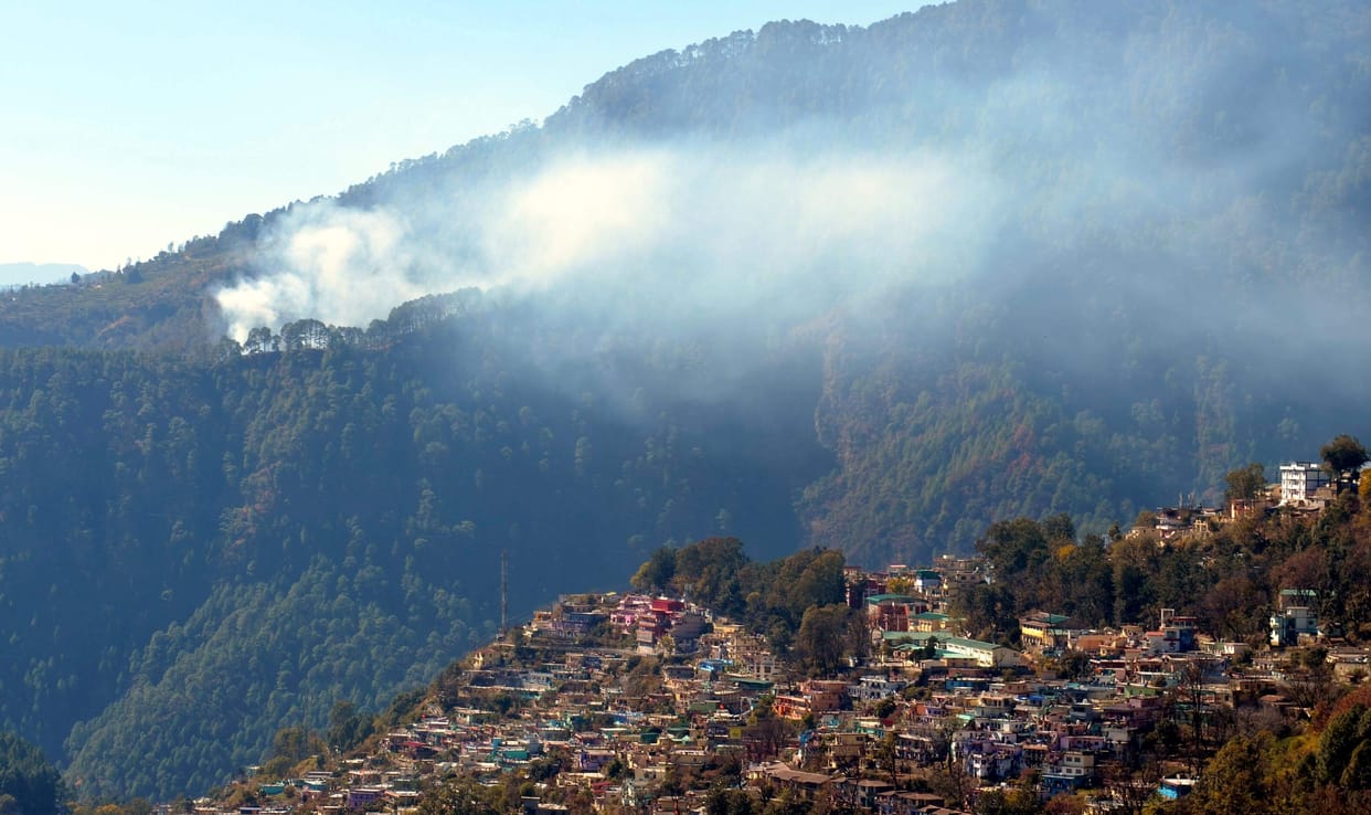 Bachher forests kept burning in fire throughout the day
