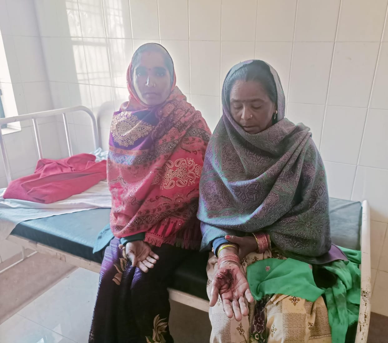Jackal injured mother-in-law and daughter-in-law