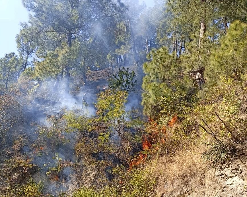 Fire At Bageshwar Forest