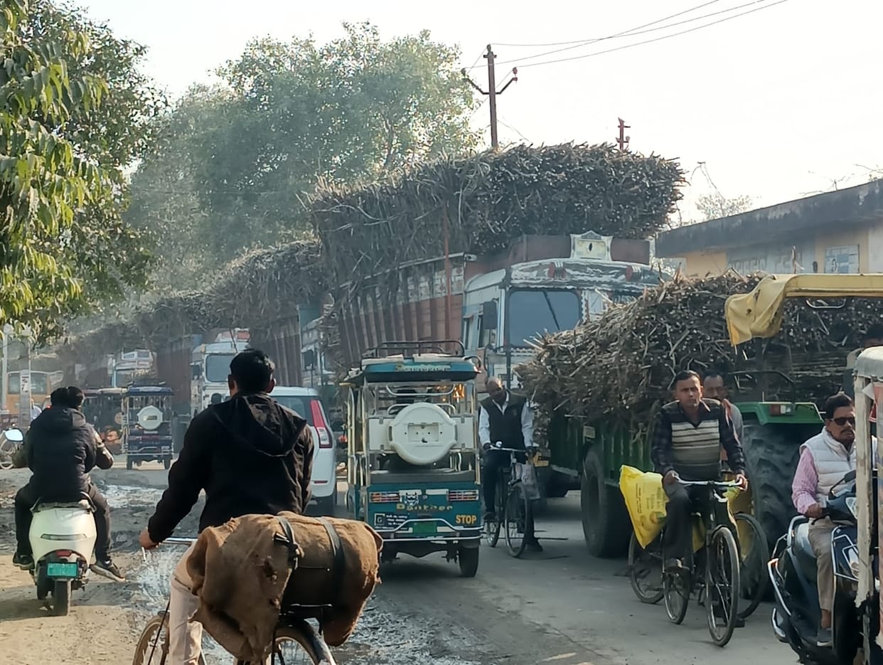 Overloaded sugarcane trucks become a problem, causing jams at intersections.
