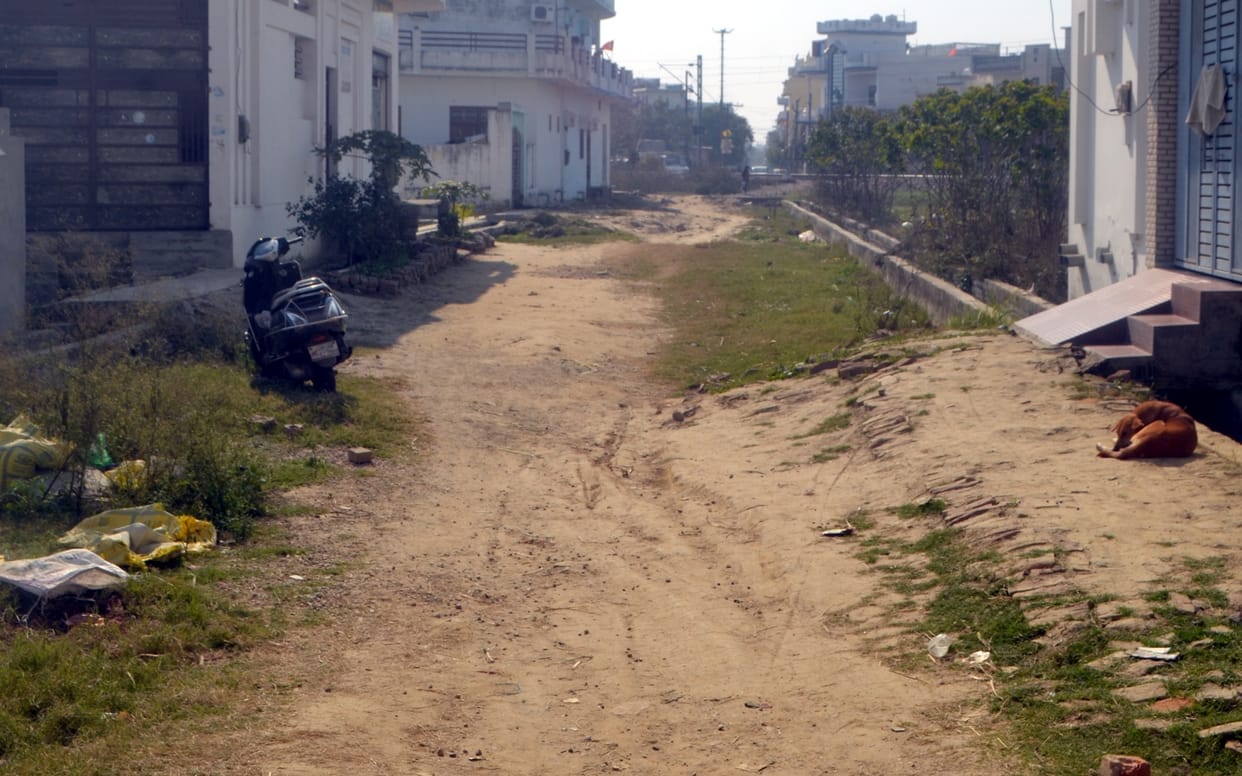 The development of the city will get wings, 81 roads will be constructed