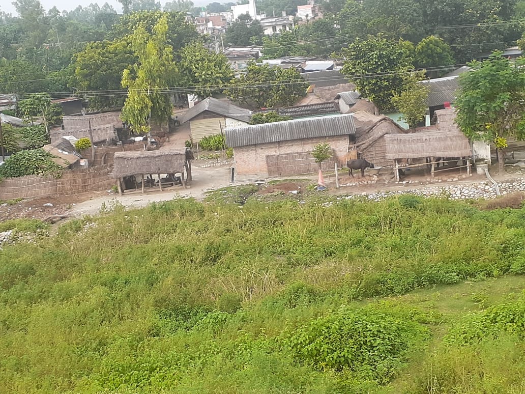Bengali society will roar tomorrow for house-ownership rights