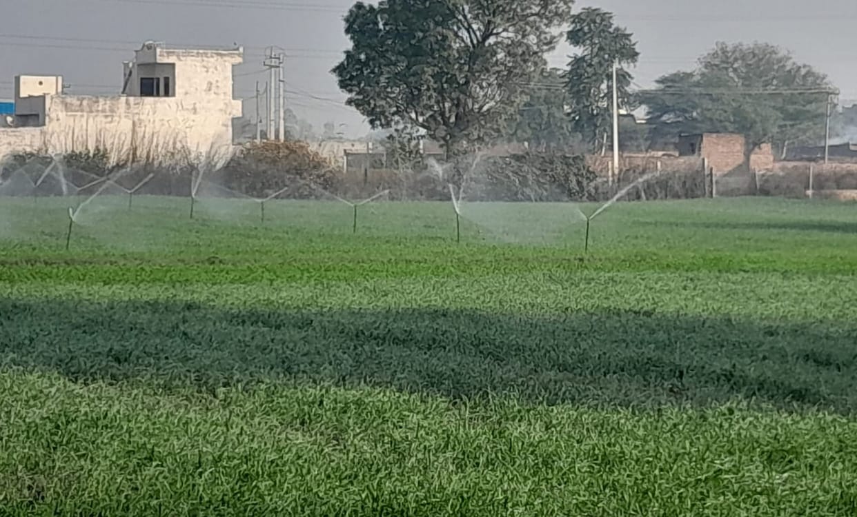 Ground water level increased by 0.23 meters i.e. about 0.8 feet this year