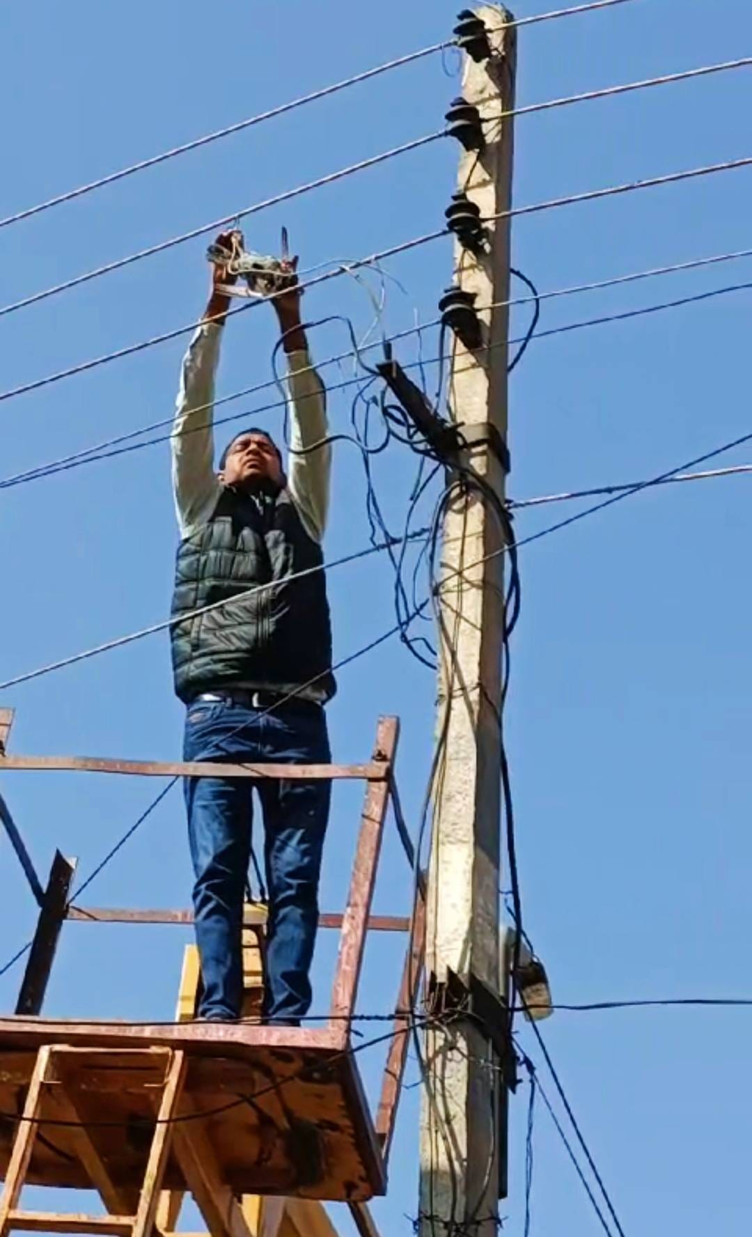 Pigeon trapped in the clutches of death, crane called to save it