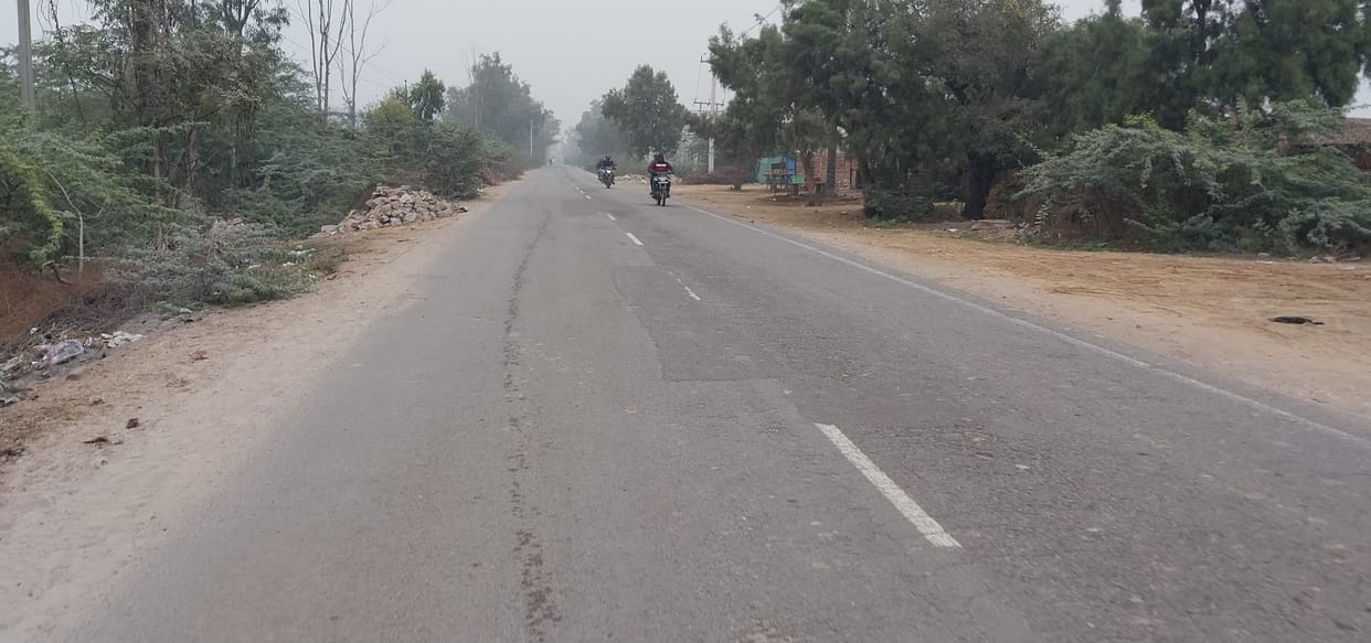 3200 trees will be cut in Dadri