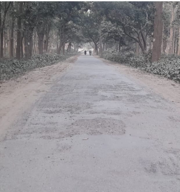 Road uprooted in just three years, pedestrians hitchhiking in potholes