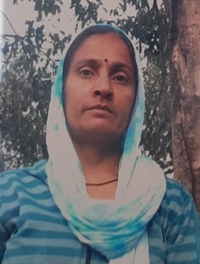 Soldier's car collides with divider while saving dog, wife dies, children critical
