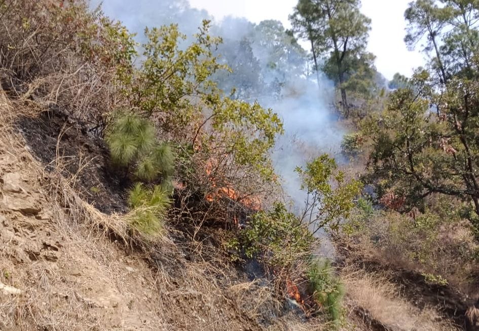 The forests of Seri Kaniana are burning in smoke