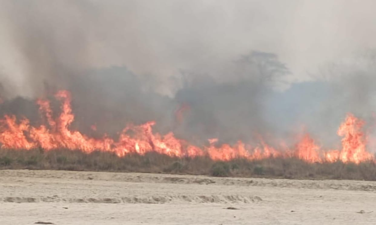 Efforts to protect forests from fire begin, control burning begins