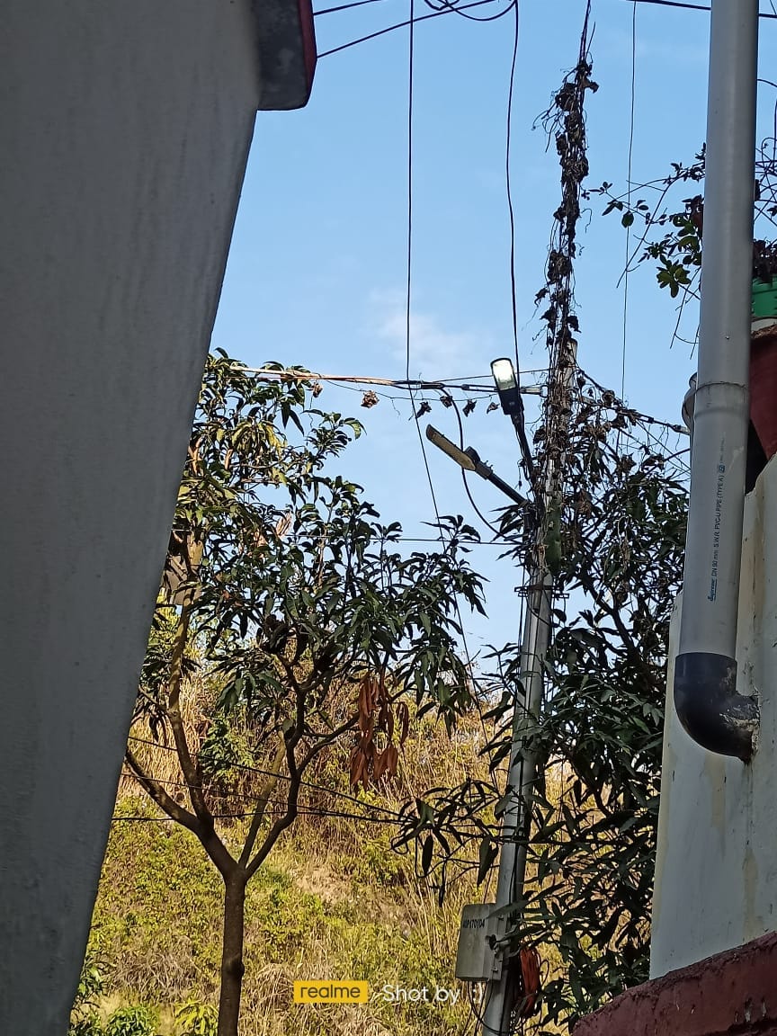 Nap Hamirpur's street lights flickering during the day, dark at night