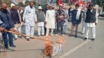 14जेएनडी07: केंद्र व प्रदेश सरकार का पुतला फूंकते हुए अखिल भारतीय किसान सभा व अन्य संगठनों के क