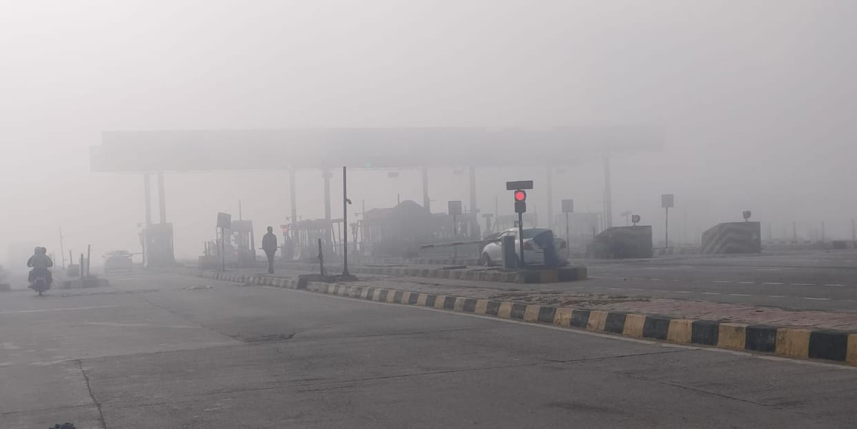 Dense fog in the morning, beneficial for wheat