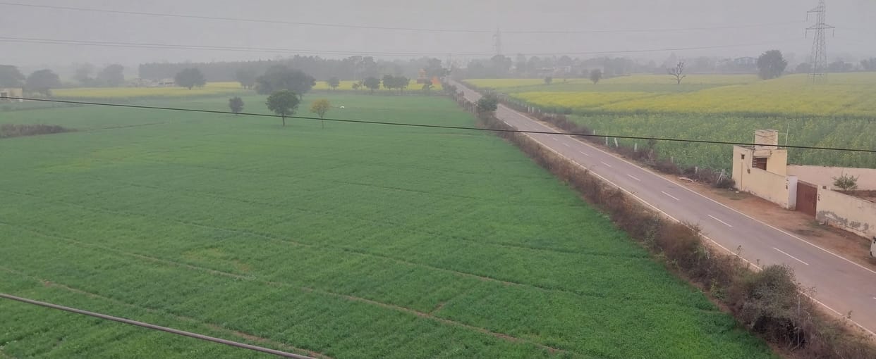Western disturbance will be active from tomorrow