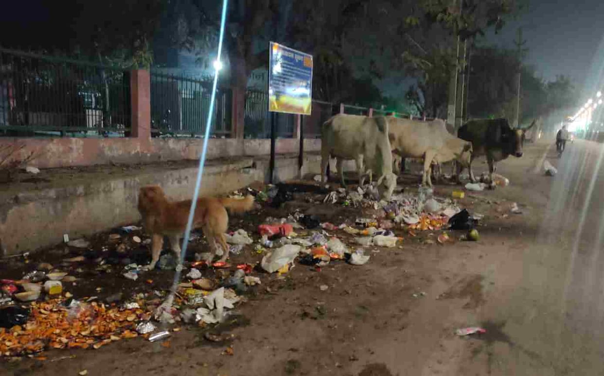 Garbage is being thrown where warning boards are installed.