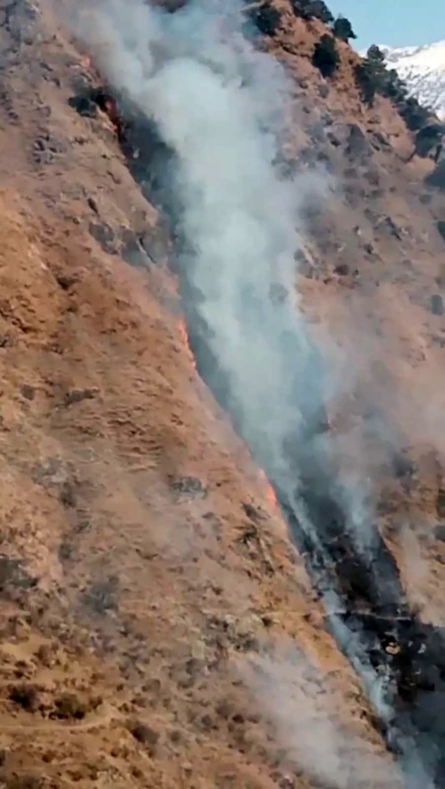 Four sheep burnt in Pekhari forest fire