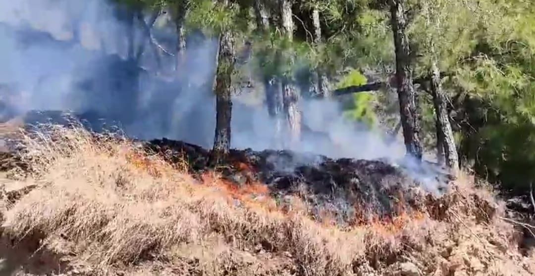 Mischievous elements instigated fire in Masrund forest.