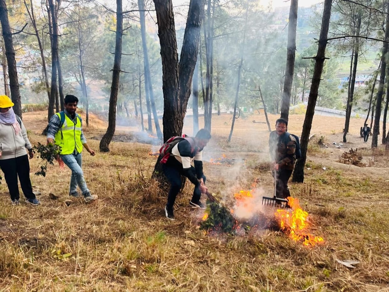 One caught setting fire in the forest, released on personal bond