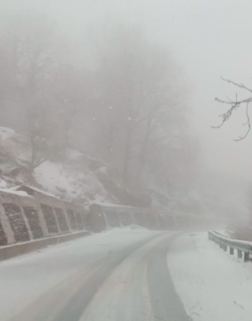 Rain in low lying areas and snowfall in mountains