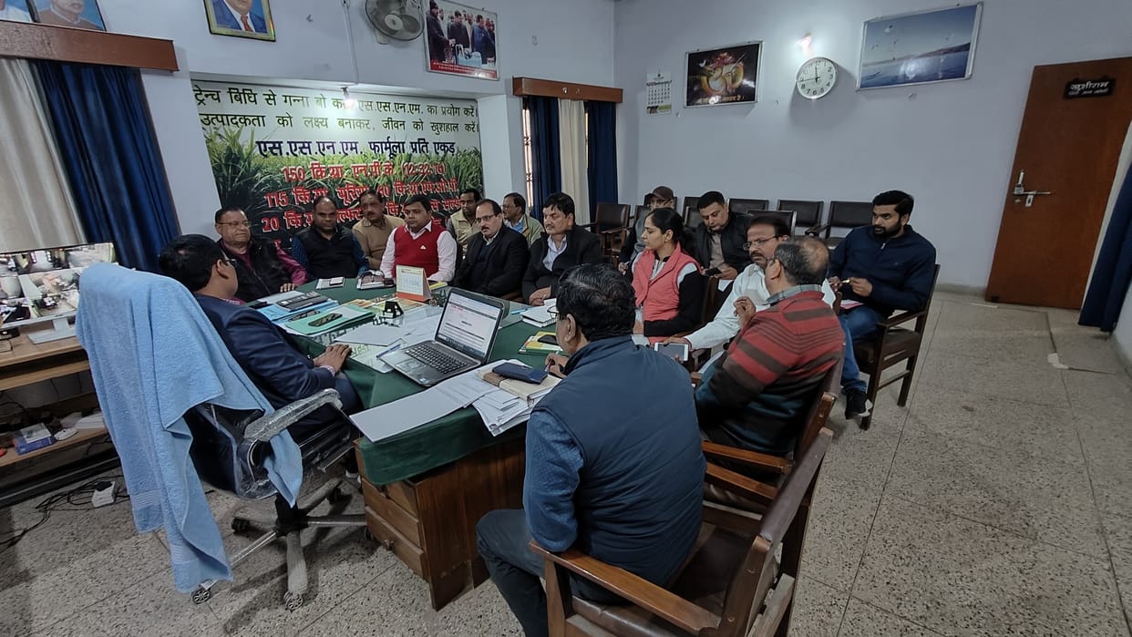 Farmers' betting should be stopped when sugarcane runs out: DCO