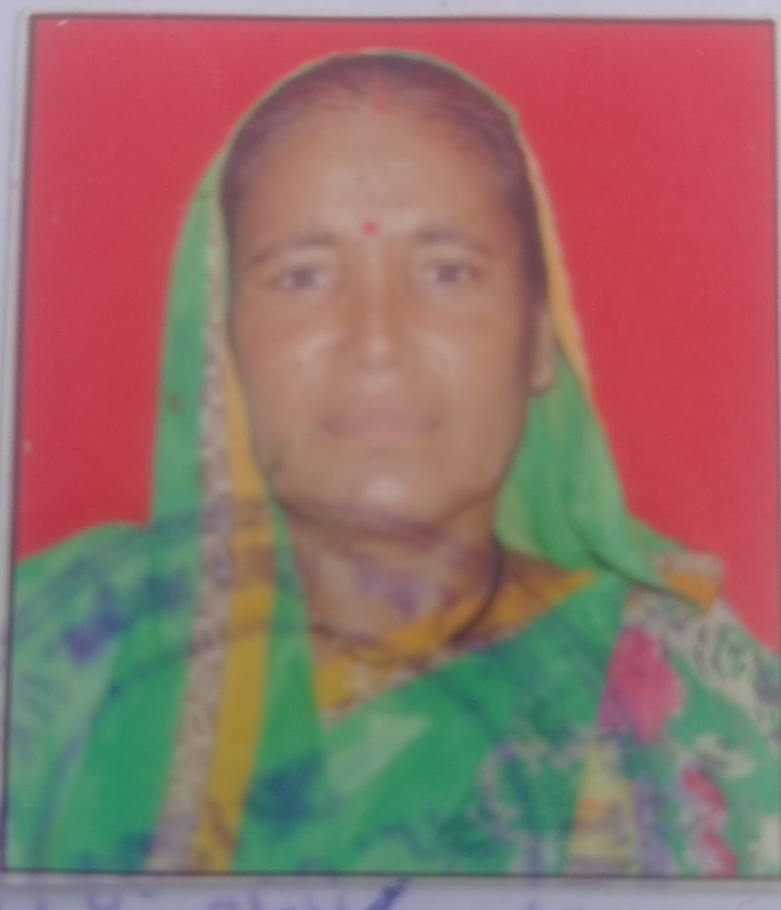 A woman who went to collect wood in the forest was killed and eaten by a tiger.