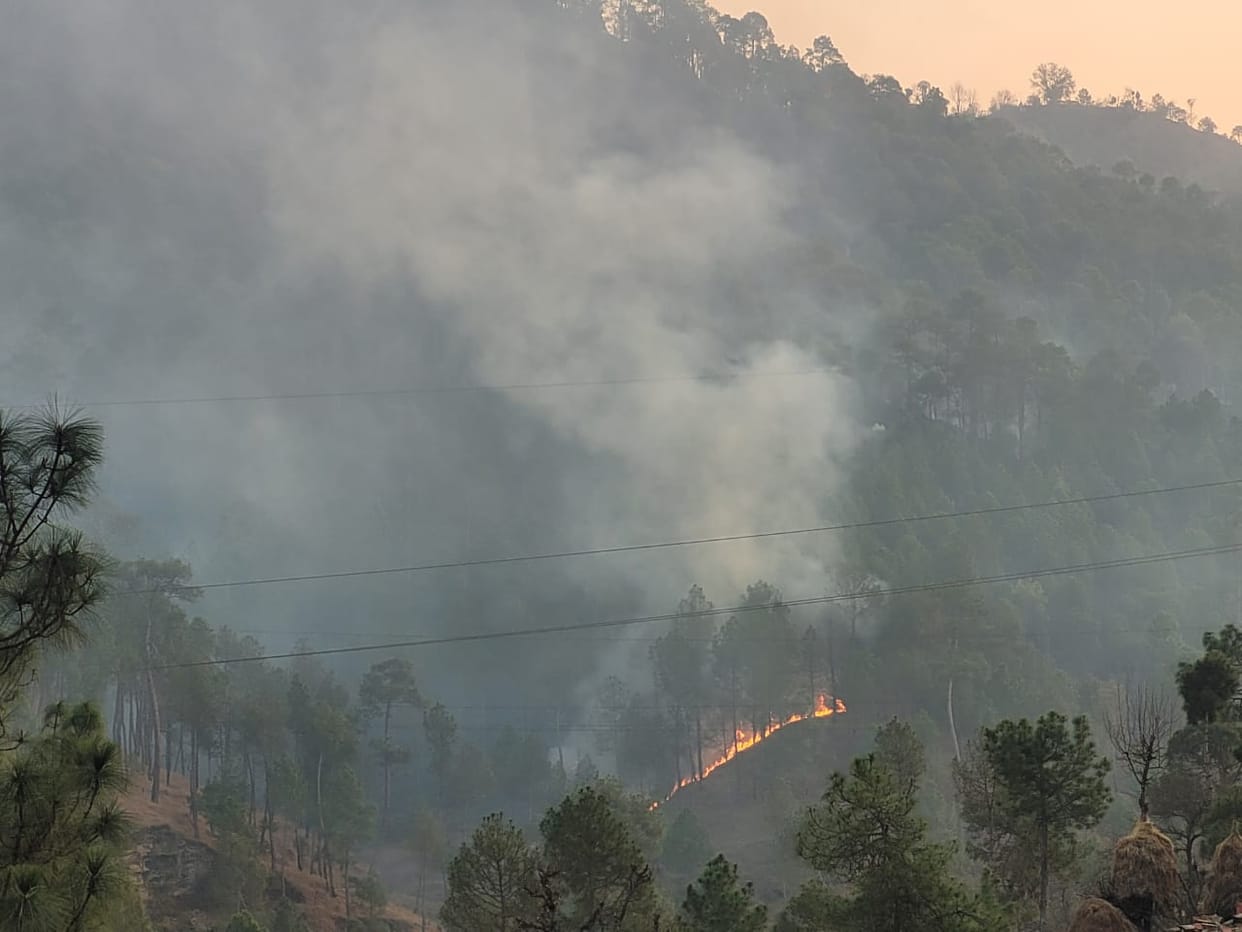 Fire At Badecheena Jungle