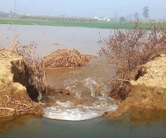 110 bigha crop submerged due to breaking of Rajbha