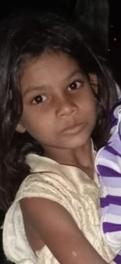 Six year old girl dies, two injured in attack by stray dogs
