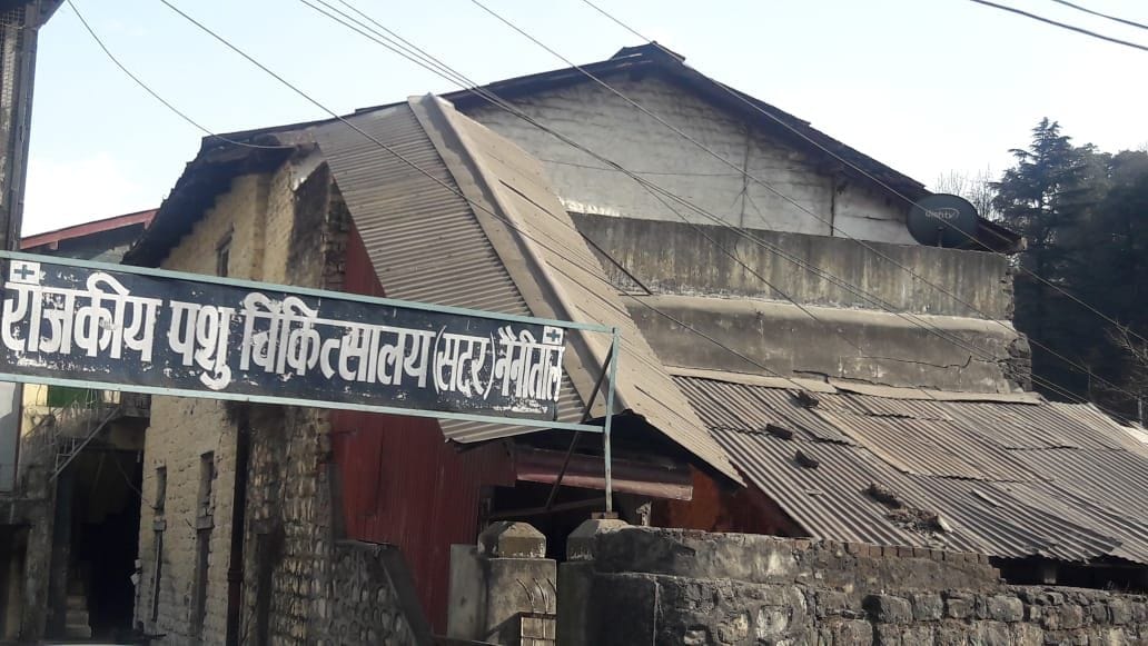 Veterinary hospital will be renovated with Rs 90.32 lakh