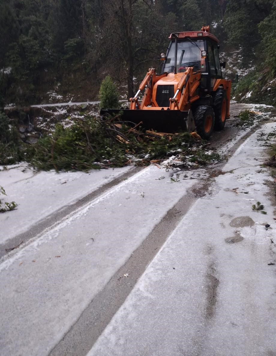 Vehicles running on Chamba-Khajjiar, Lakkar Mandi road