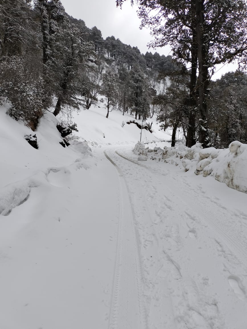 Four inches of snow in Jalodijot