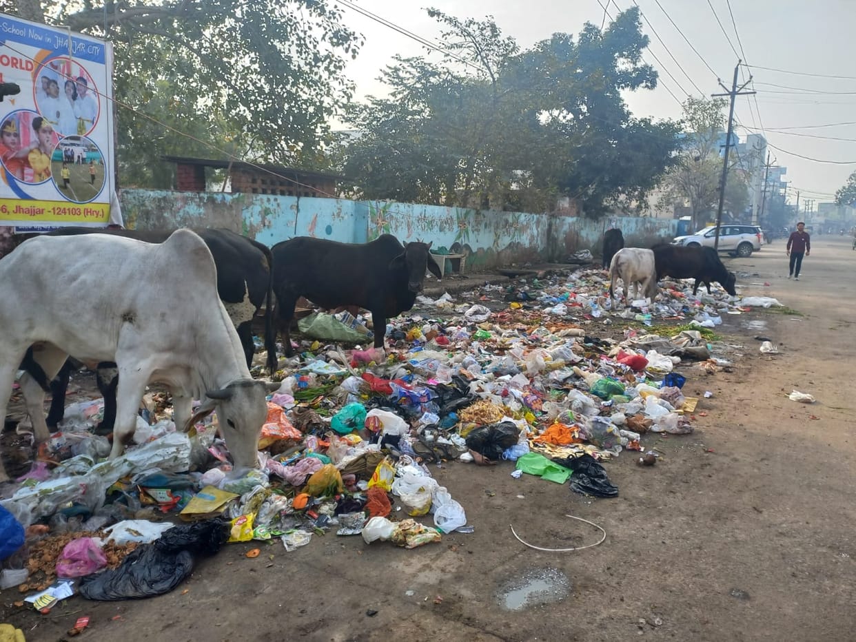 Garbage points will be eliminated from inside the city, city council will find secondary point
