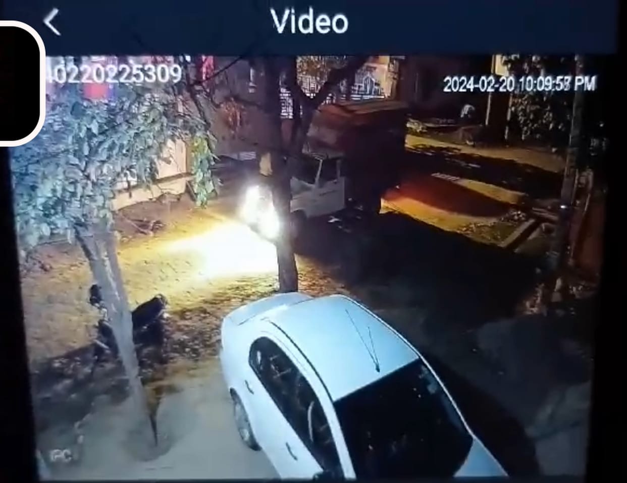 Miscreants riding in the ambulance of Gaushala opened fire