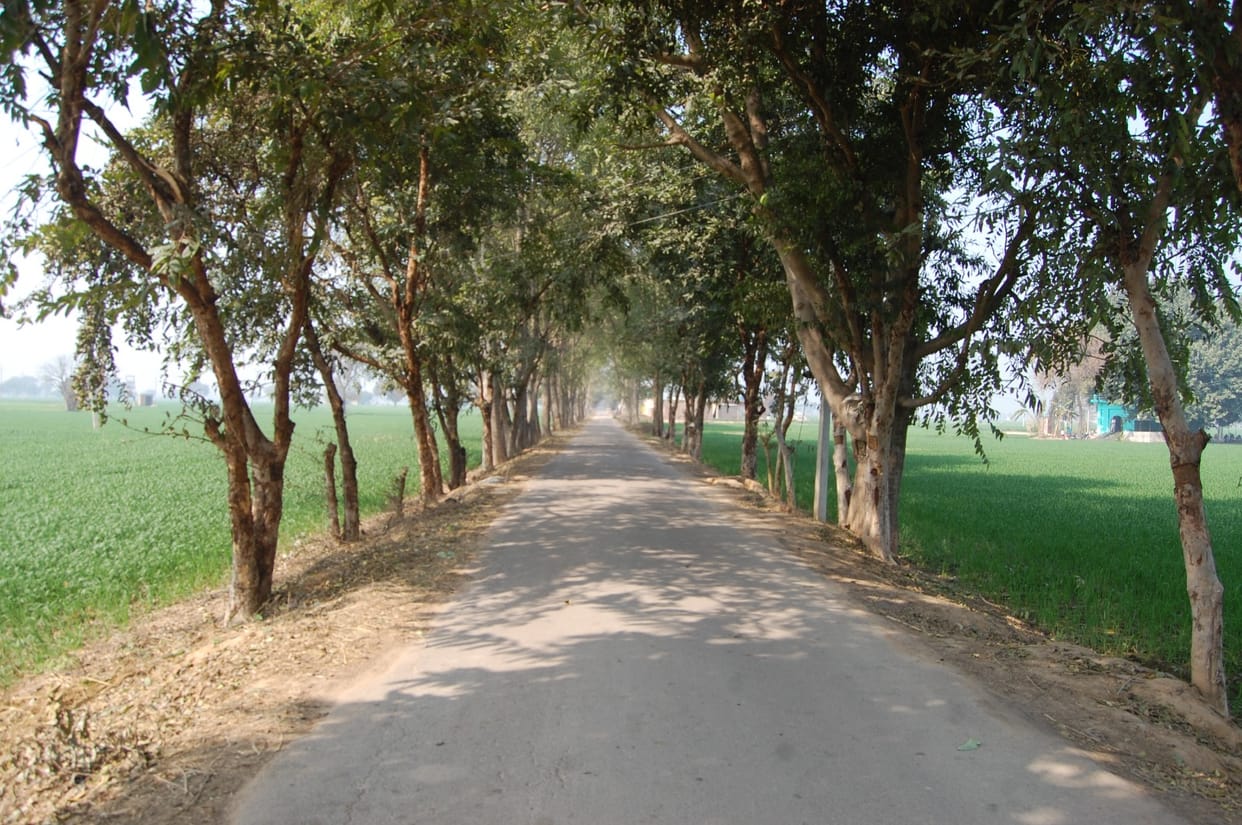 Roads of 25 villages affected by floods will be repaired