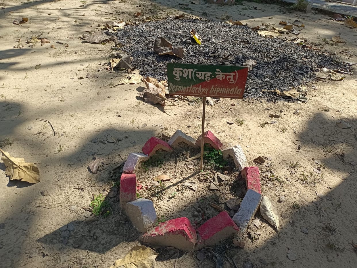 Navgraha Vatika: Only boards were put up...plants disappeared