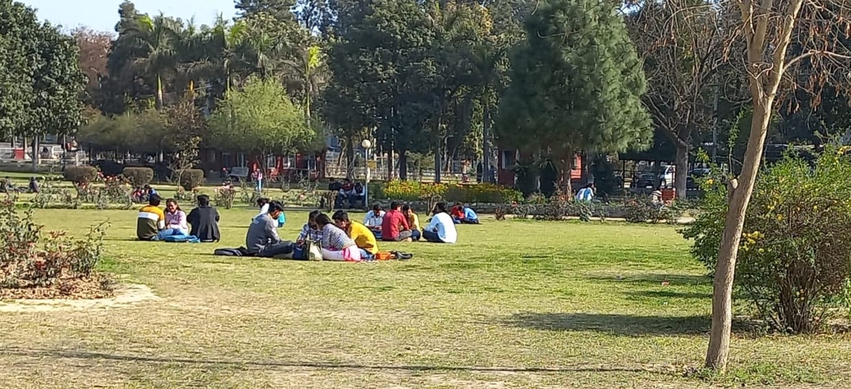Cold wave increased, relief from sunshine came