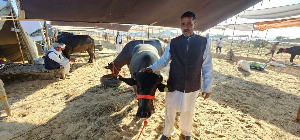 Governor will inaugurate animal exhibition today