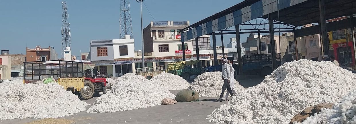 Cotton arrivals increased, prices are not increasing