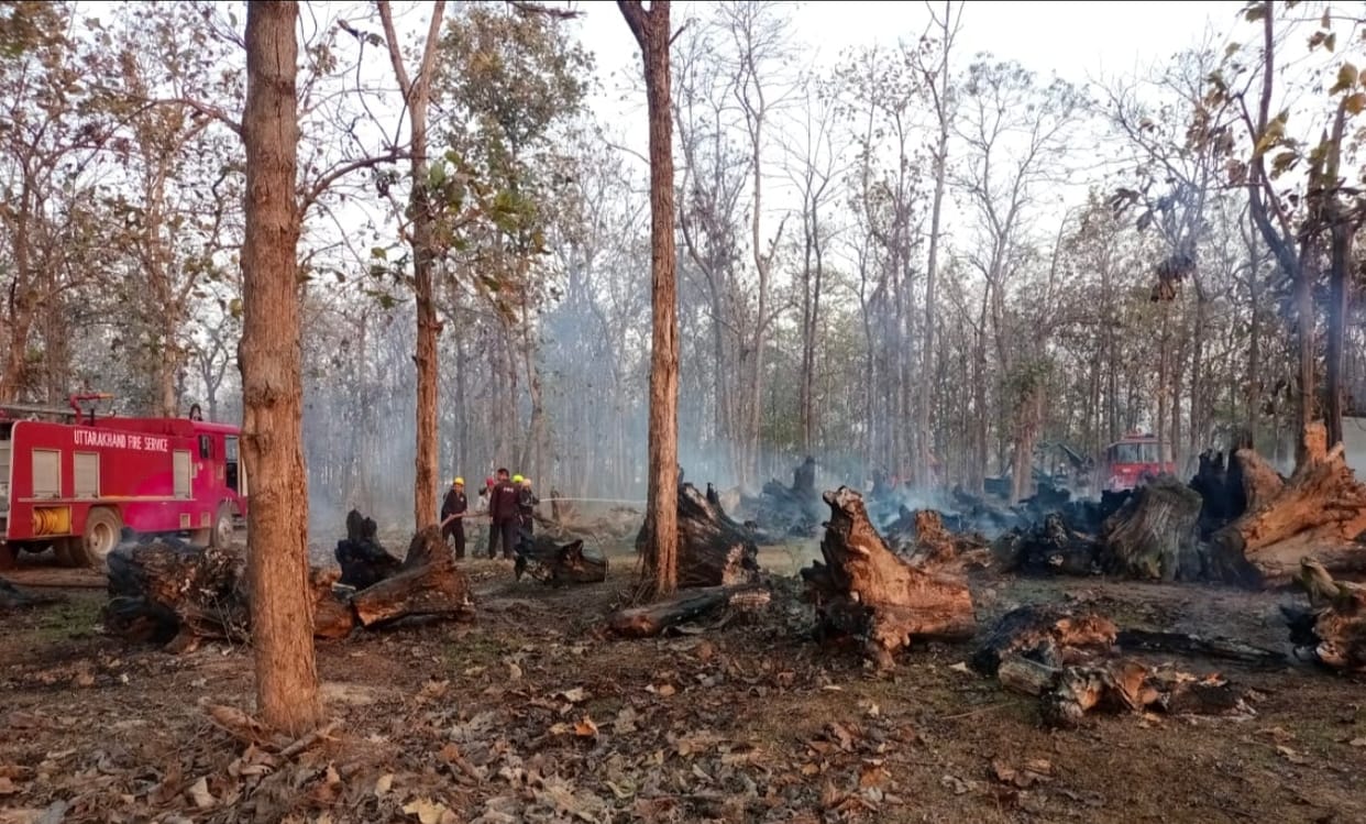 Thousands of pieces of wood turned into ashes due to fire in Forest Corporation depot