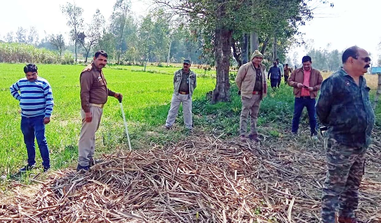 Forest personnel patrolled, searched for leopard footprints