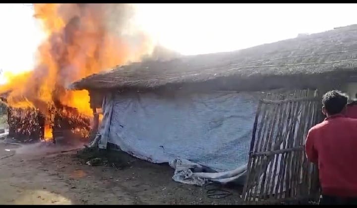 600 chickens burnt to death due to fire in poultry farm