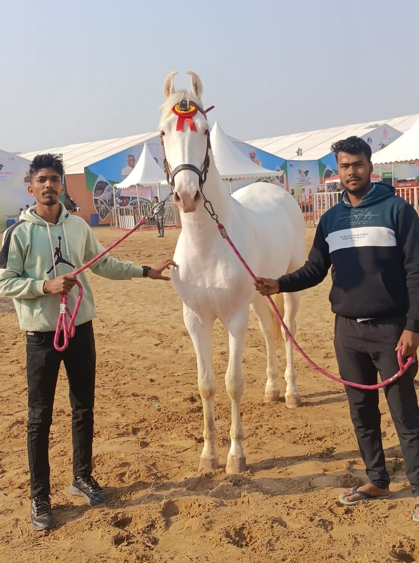 Cow named Moni after daughter, got first place in the state