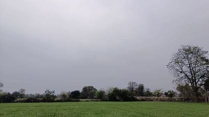 UP: मौसम विभाग का पुर्वानुमान, बदलेगा मौसम... हो सकती है बारिश; पश्चिमी विक्षोभ के चलते बन रहे आसार weather department forecast for Agra there may be rain with change in weather