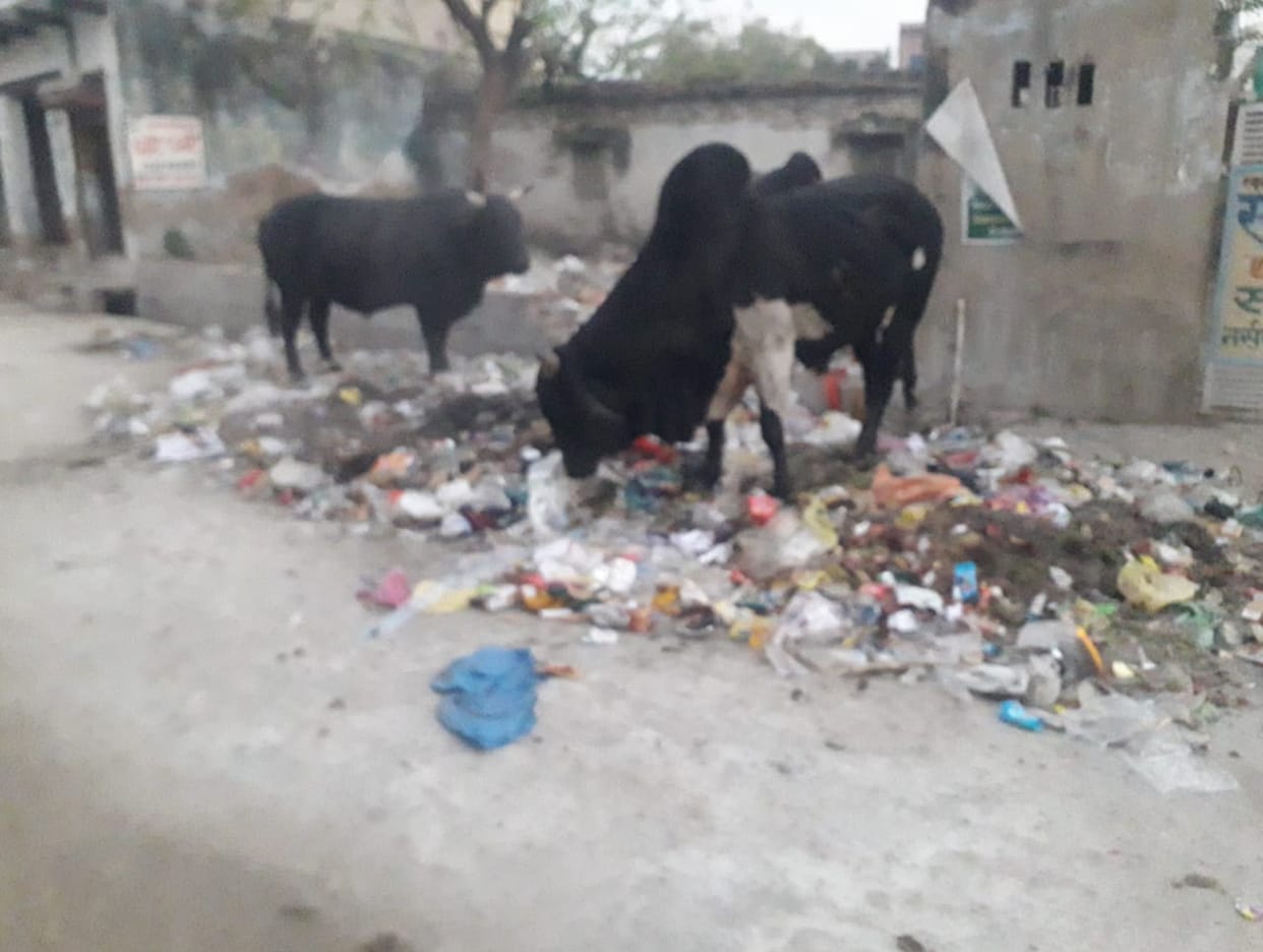 The tender for cleaning ended in Bawal, now there are heaps of garbage