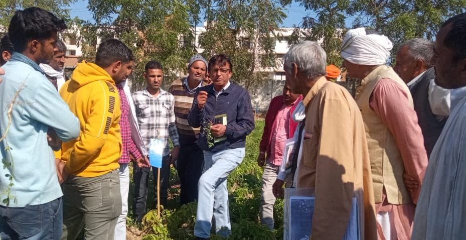 In Hameti, farmers learned the method of making organic fertilizers and pesticides.