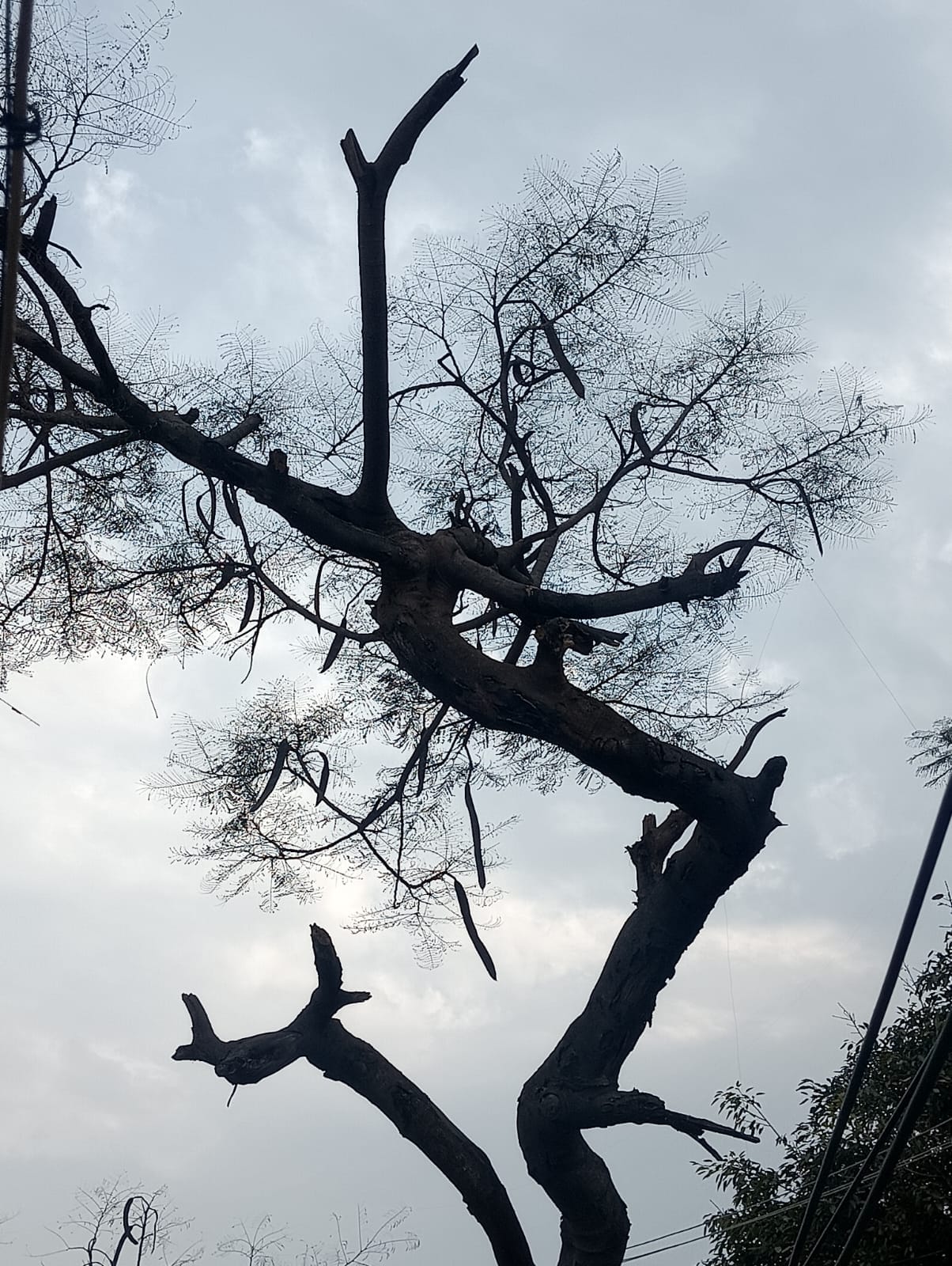 Sunny in the morning, then the weather deteriorated due to light rain