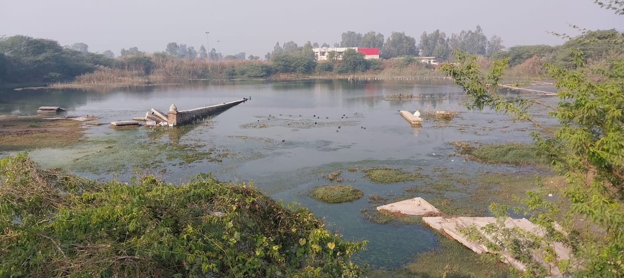 Beautification work of 75 percent ponds completed