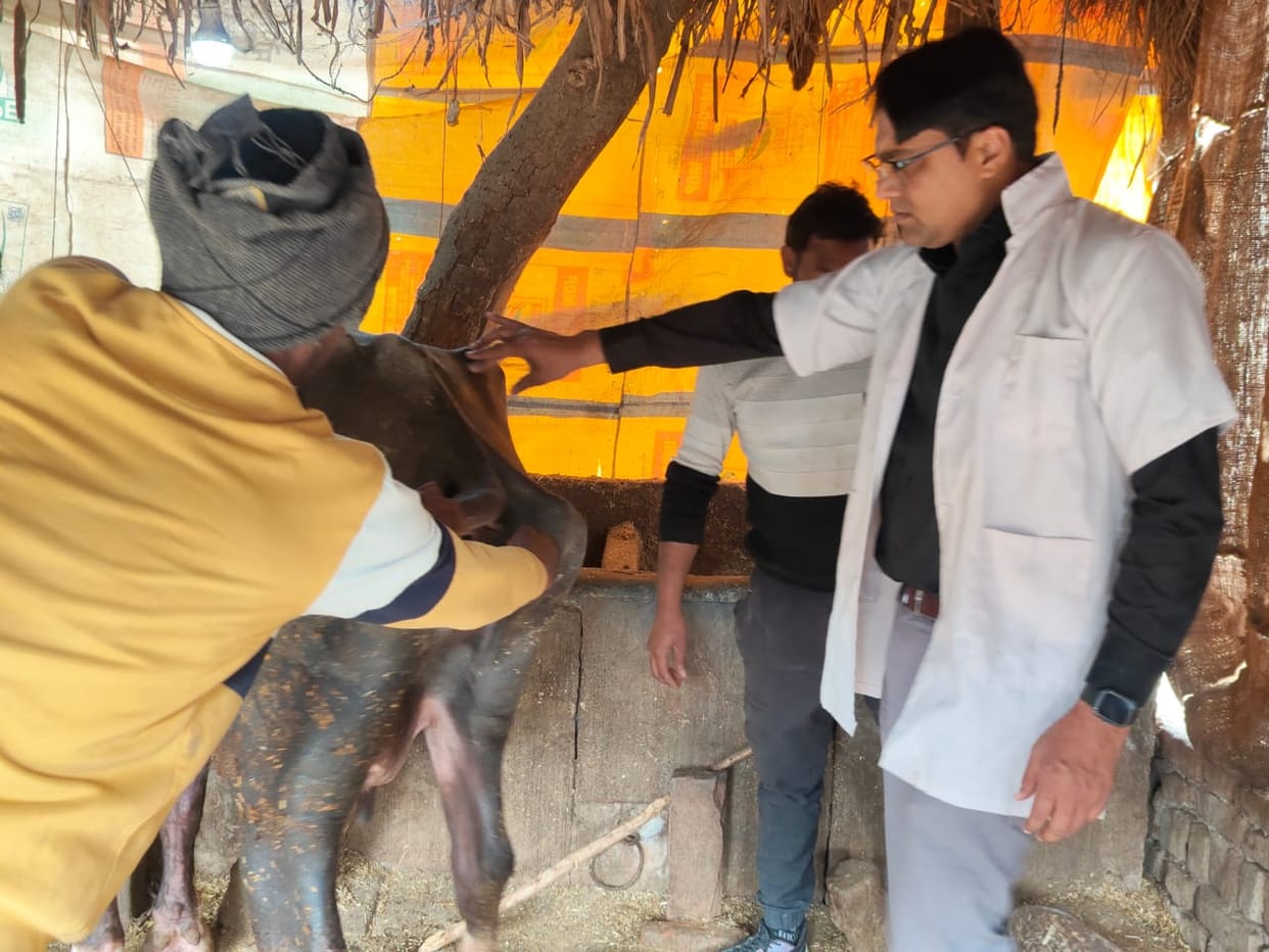 14 pets died due to unknown disease, panic in the village
