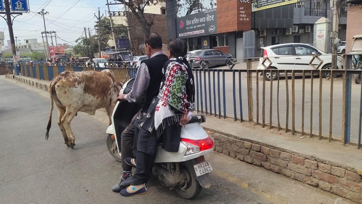 CM had given the target of catching animals by 29, officials could not start the campaign.